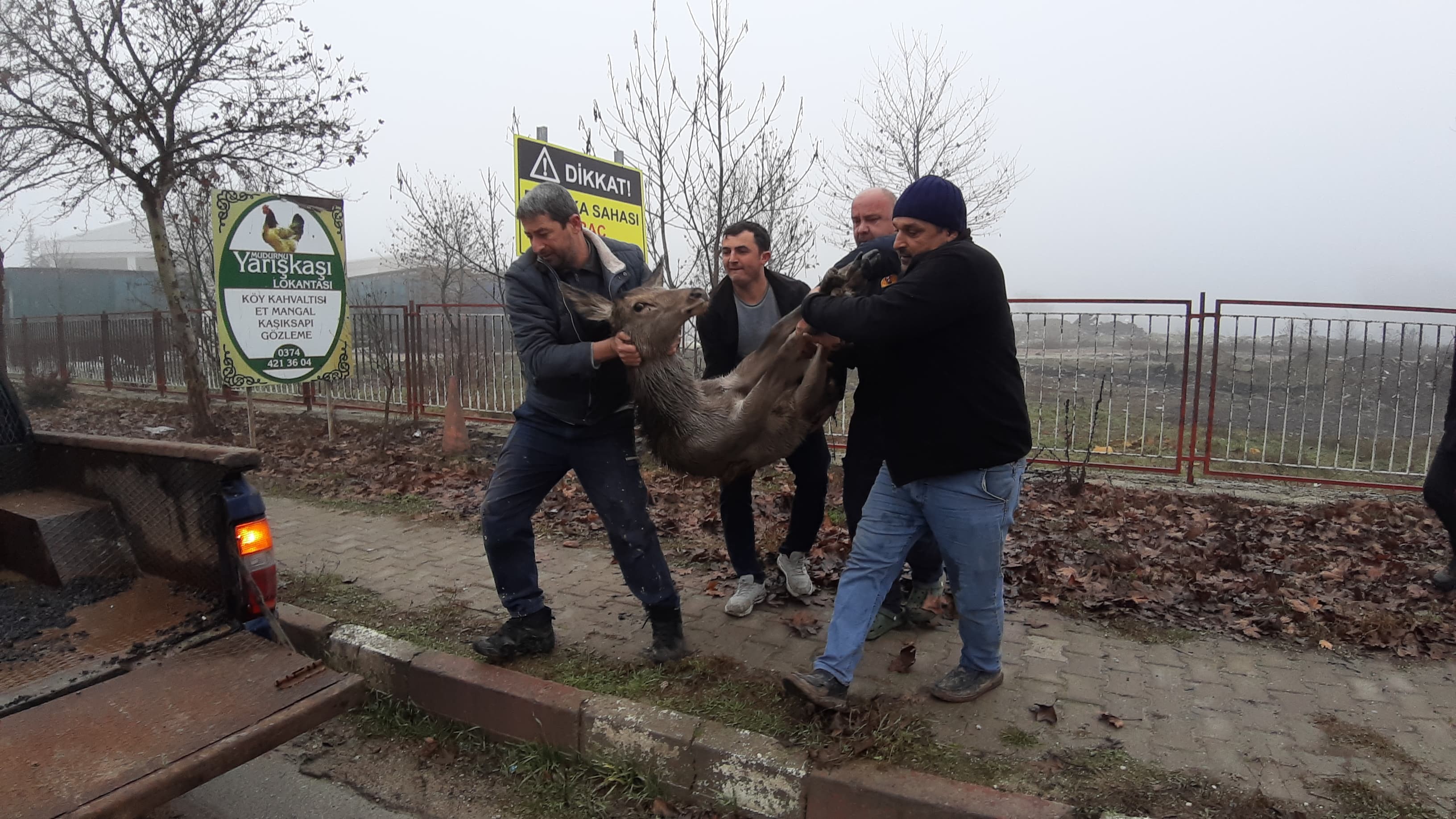 Bolu’da Karaca Seferberliği (4)