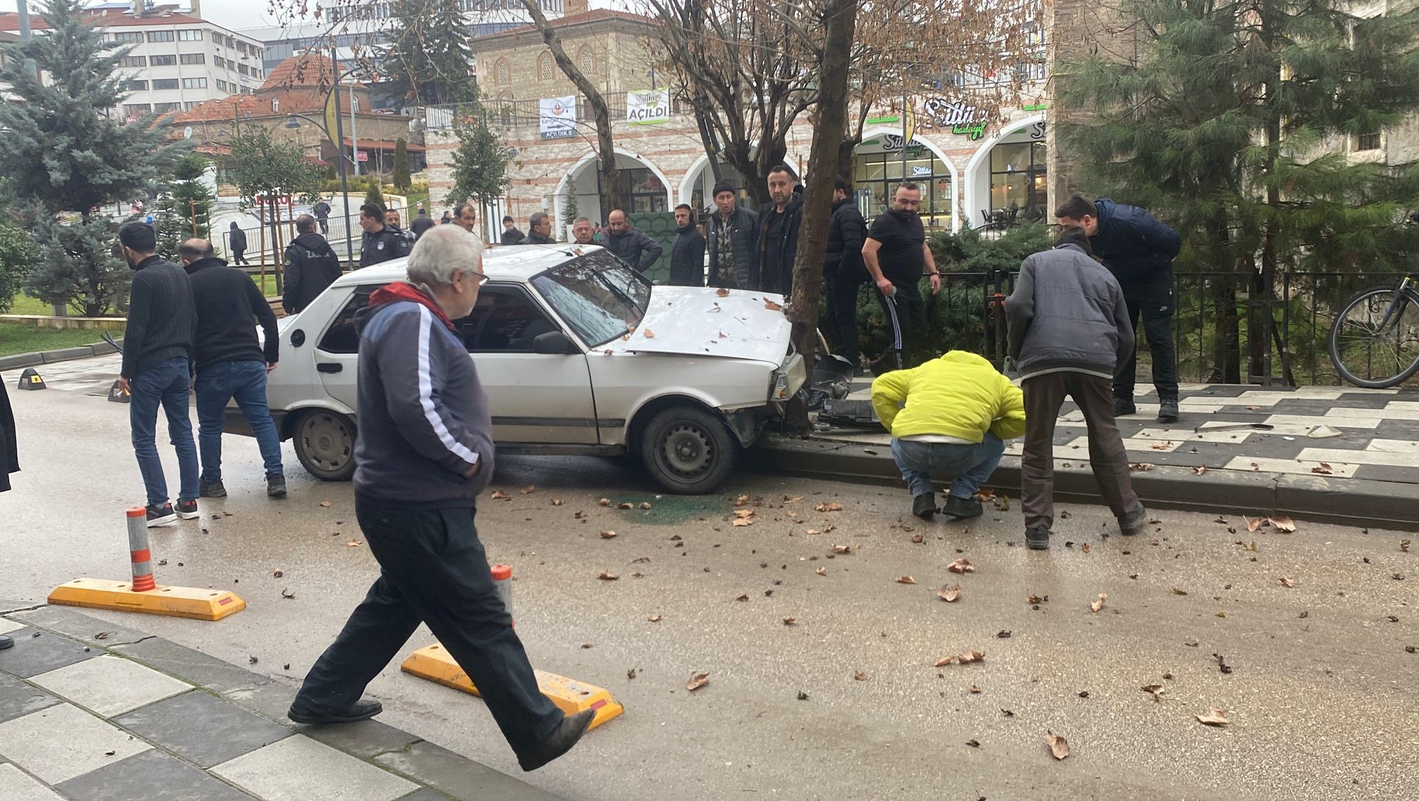 Köpeğe Çarpmamak Için Ağaca Çarptı (2)