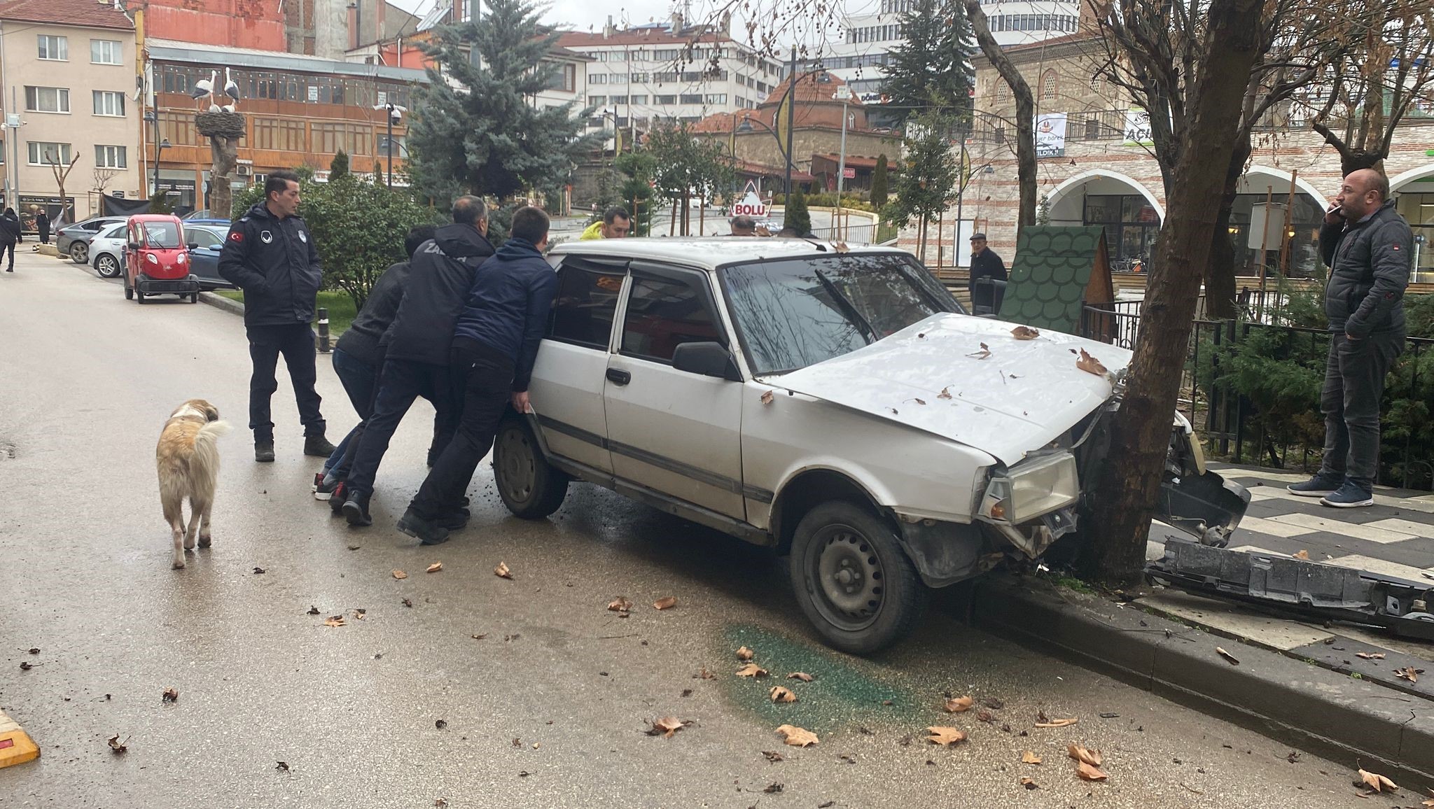 Köpeğe Çarpmamak Için Ağaca Çarptı (3)