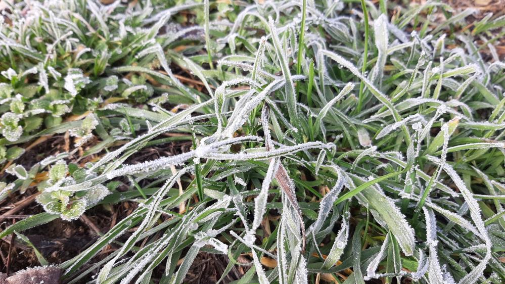 Mudurnu'da Hava Sıcaklığı Eksi 8 Dereceyi Gördü4