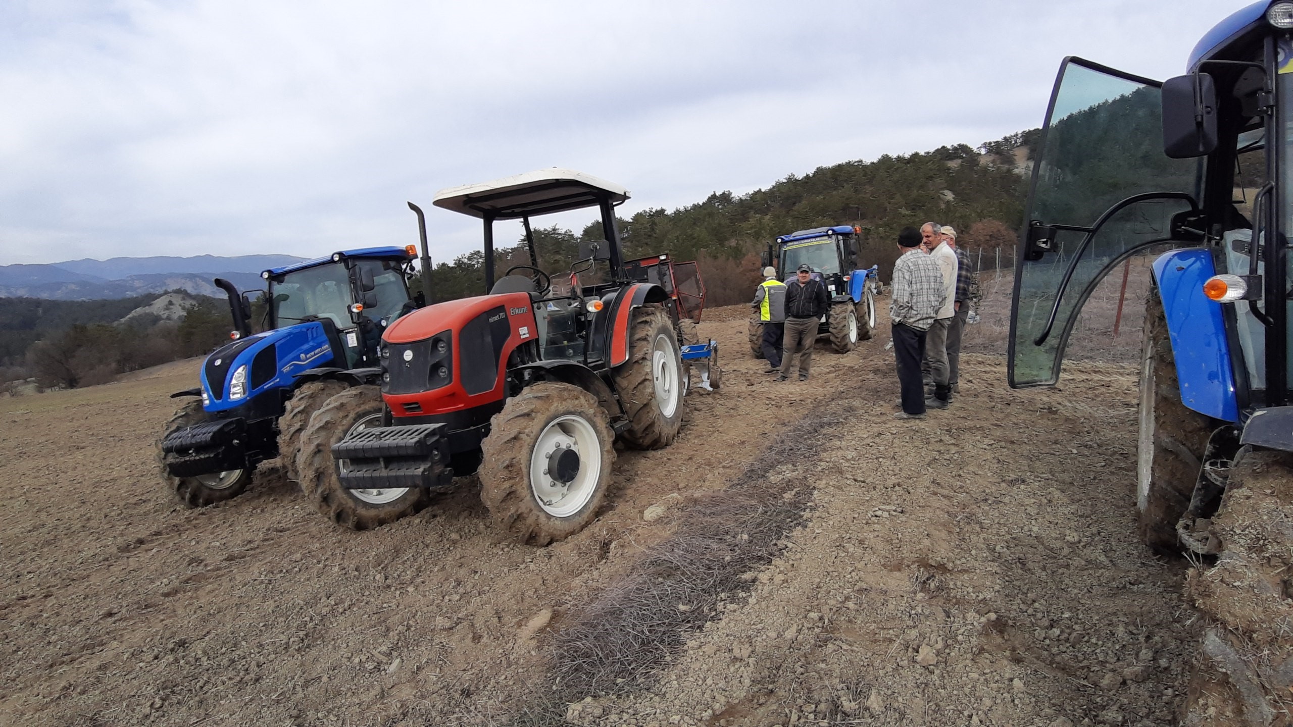 Bolu'da Imece Usulüyle Tarla Ekildi (2)