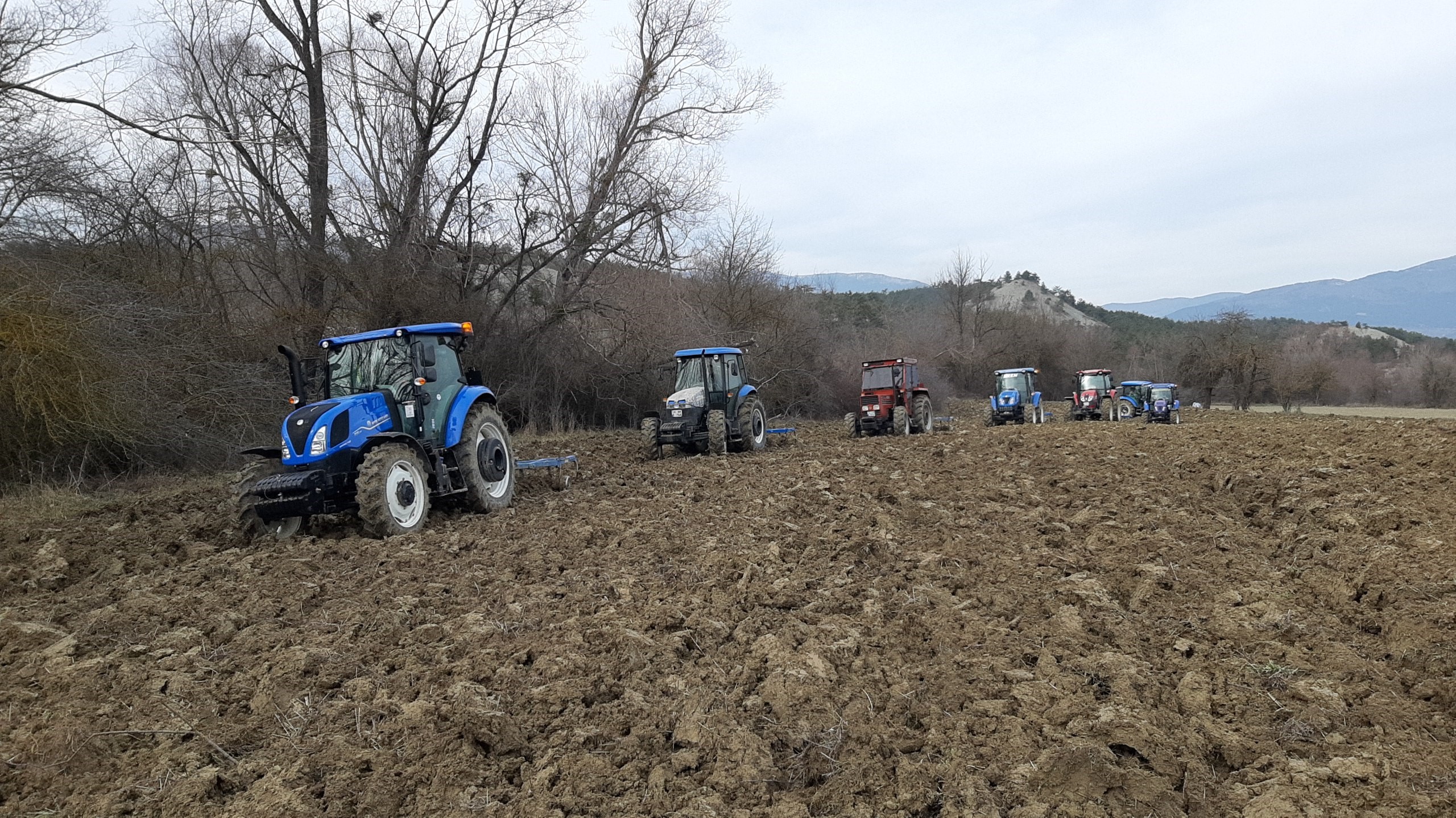 Bolu'da Imece Usulüyle Tarla Ekildi (4)