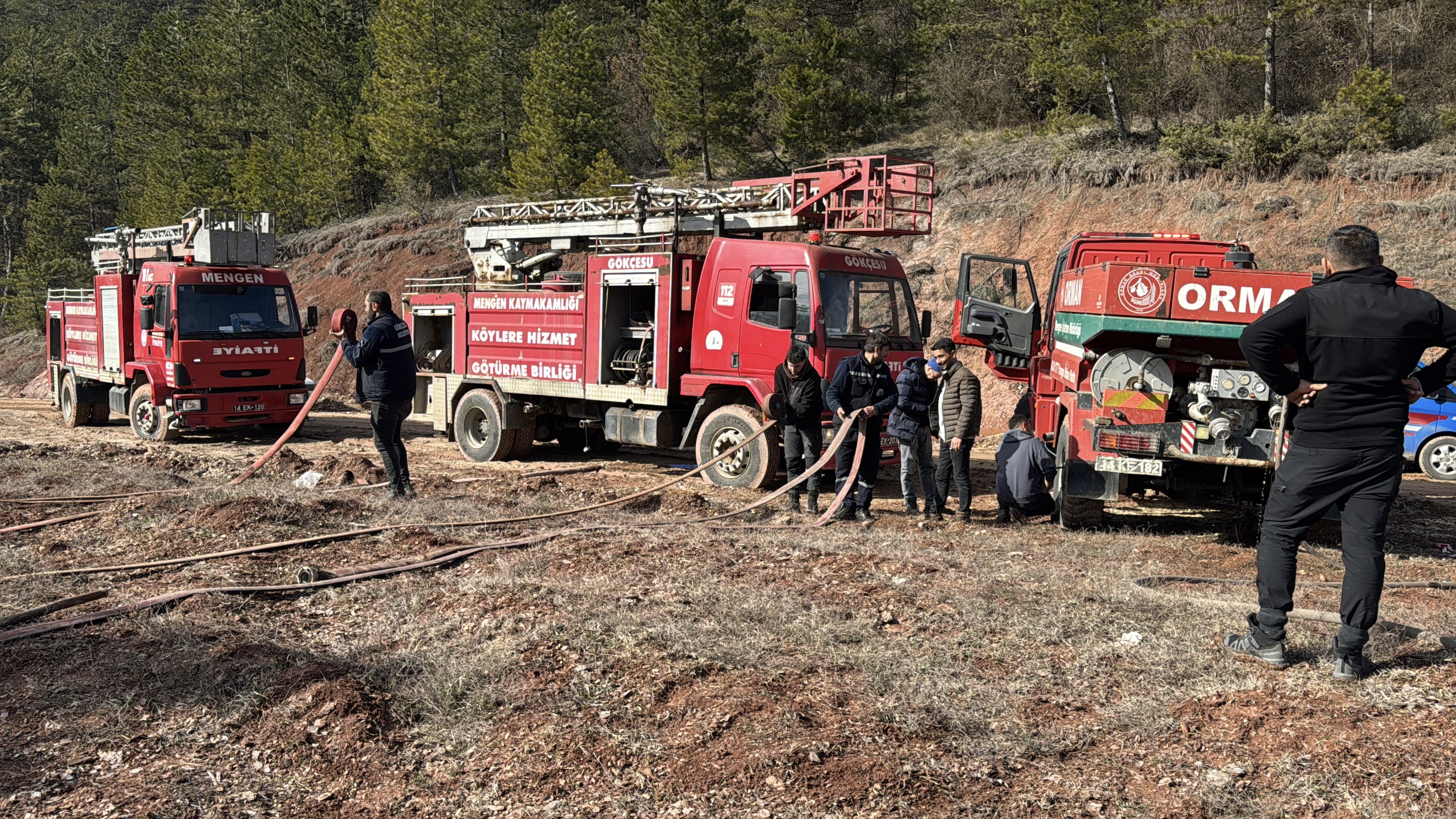 Bolu'da Ormanlık Alanda Örtü Yangını Çıktı 1 Dönüm Zarar Gördü (1)