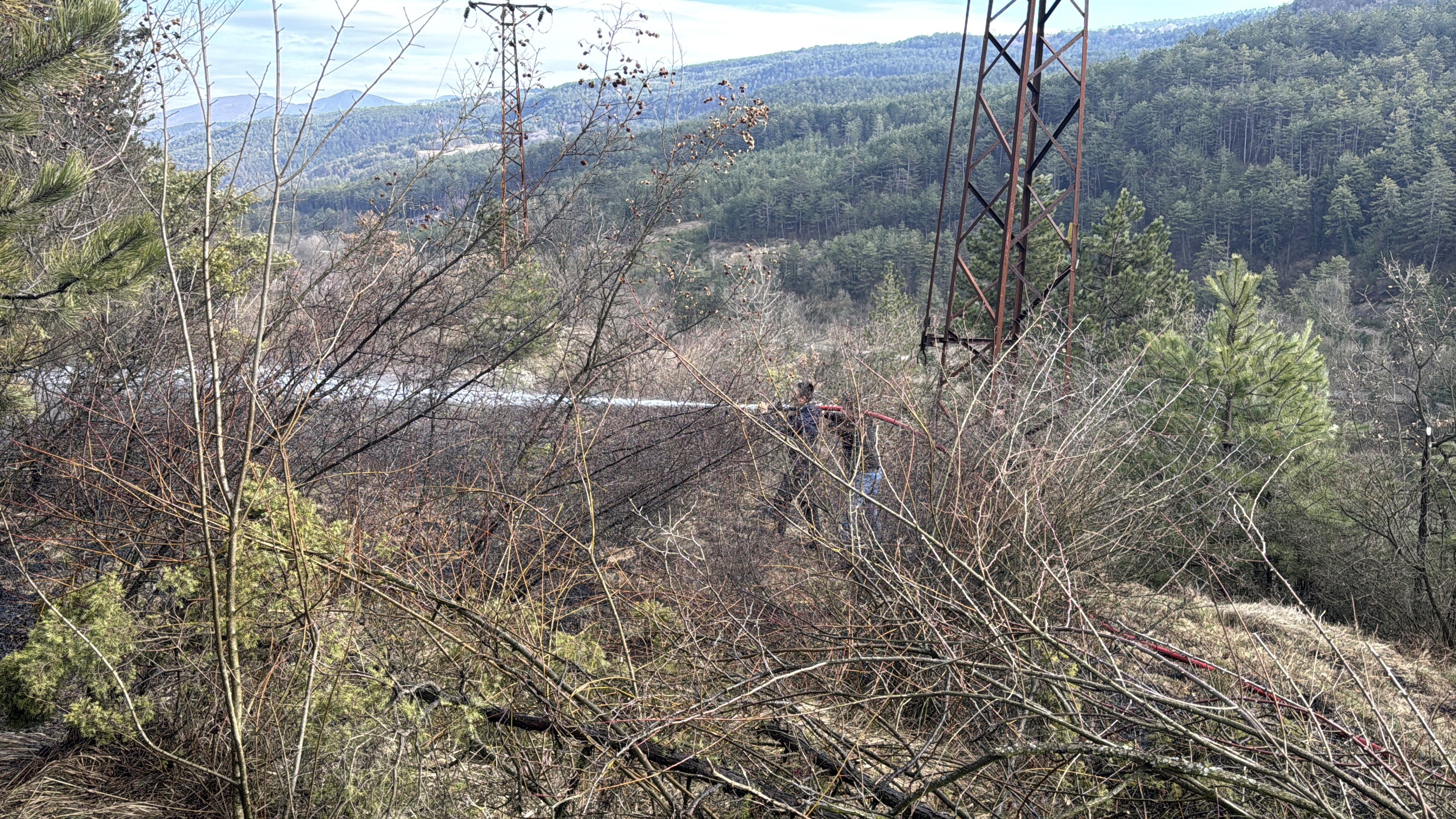 Bolu'da Ormanlık Alanda Örtü Yangını Çıktı 1 Dönüm Zarar Gördü (3)