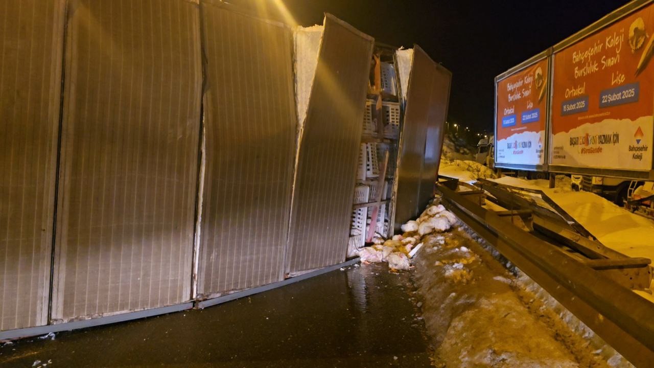 Zonguldak’tan Bolu’ya Gelen Canlı Tavuk Kamyonu Devrildi (2)