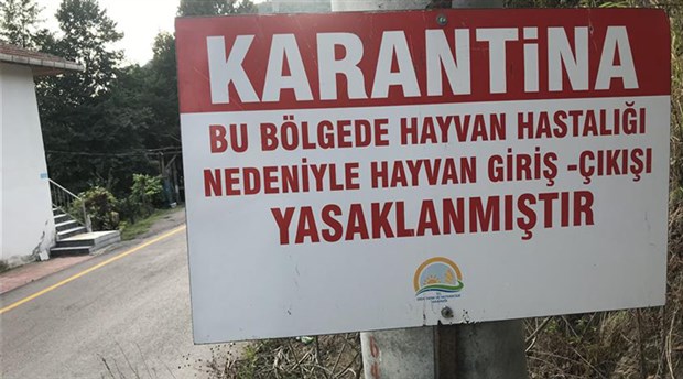 Boluda Şap Alarmı Iki Köy Karantinaya Alındı (3)