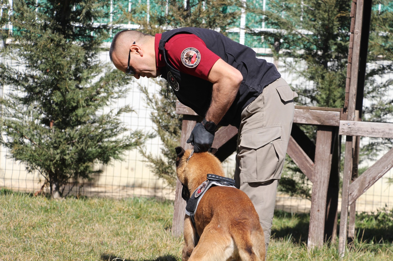 Dedektör Köpekler (1)