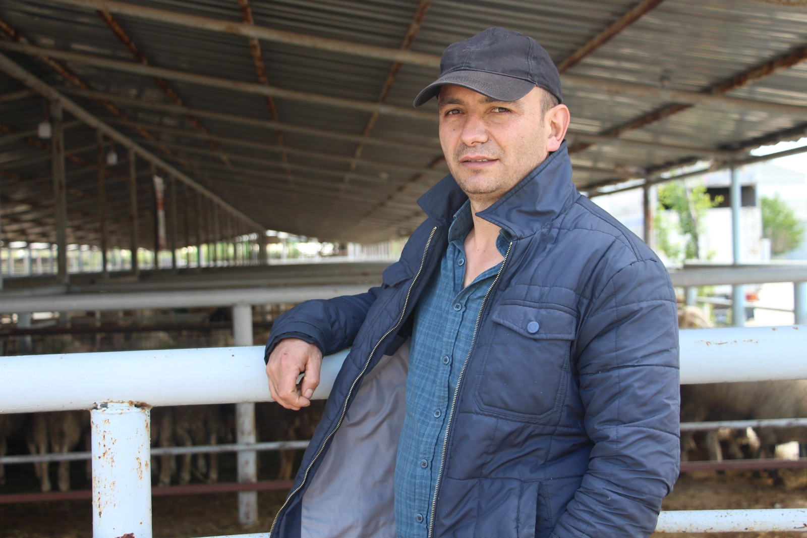Bayrama Günler Kala Hayvan Pazarında Sessizlik (2)