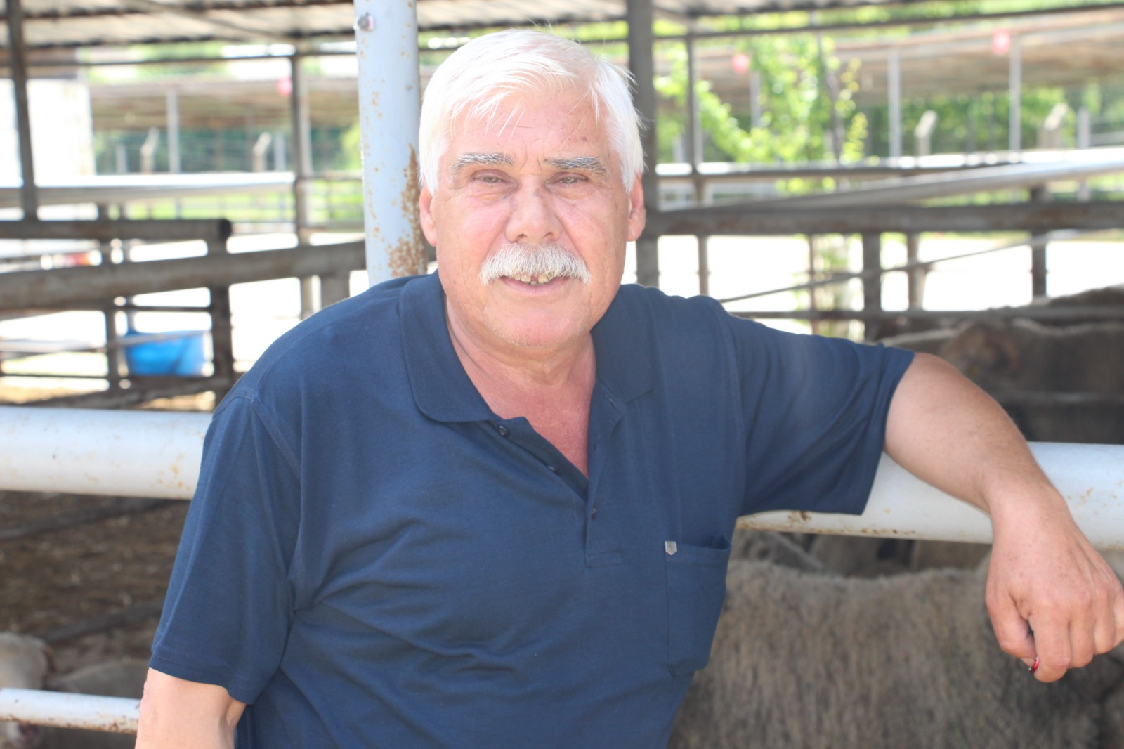 Bayrama Günler Kala Hayvan Pazarında Sessizlik (3)