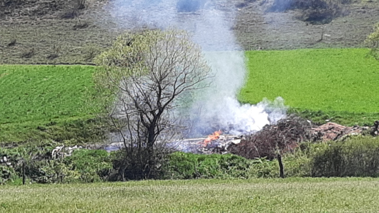 Bolu'da Yaban Hayatı Bilinci Yaygınlaşıyor (5)