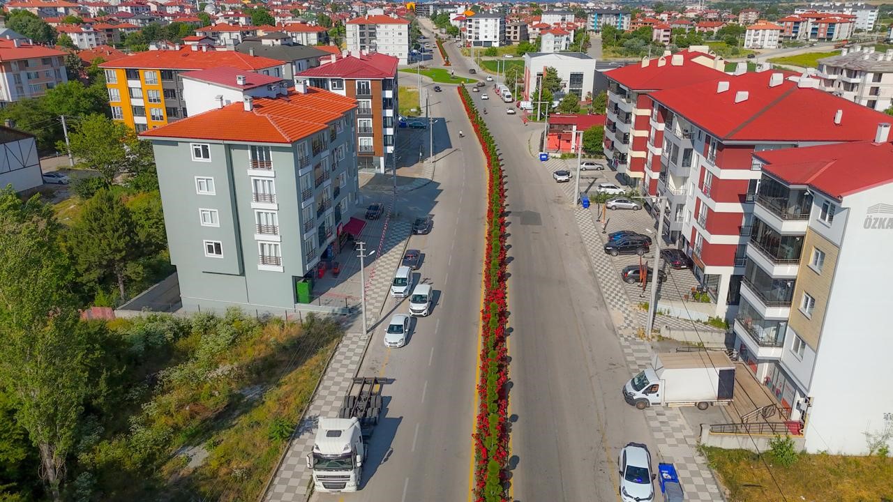 Bolu Belediyesi Şehri Gül Bahçesine Dönüştürdü 561 Bin Gül Ekildi (4)