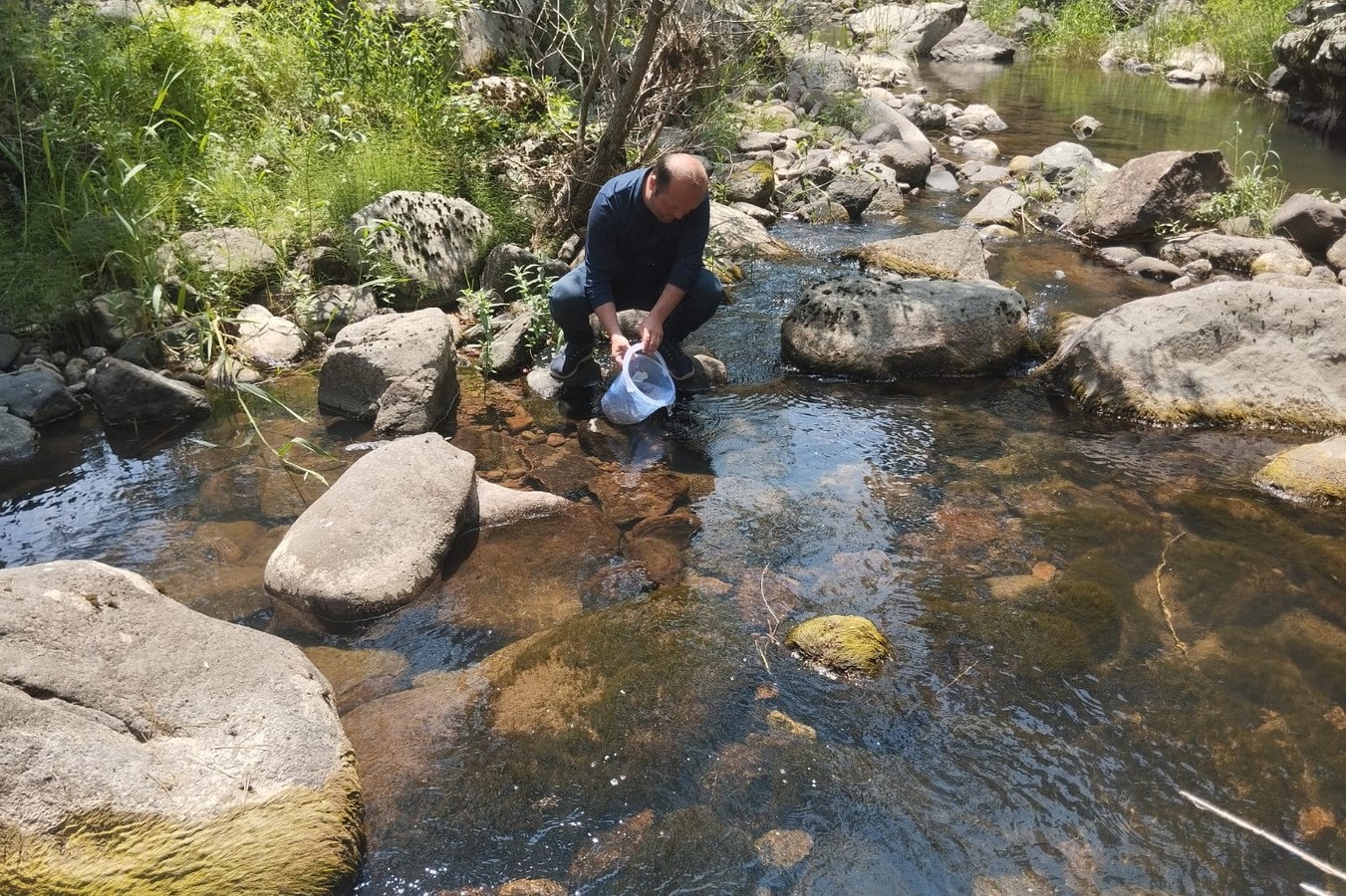 Bolu’da 12 Bin Kırmızı Benekli Alabalık Yavrusu Orman Içi Derelere Bırakıldı (1)