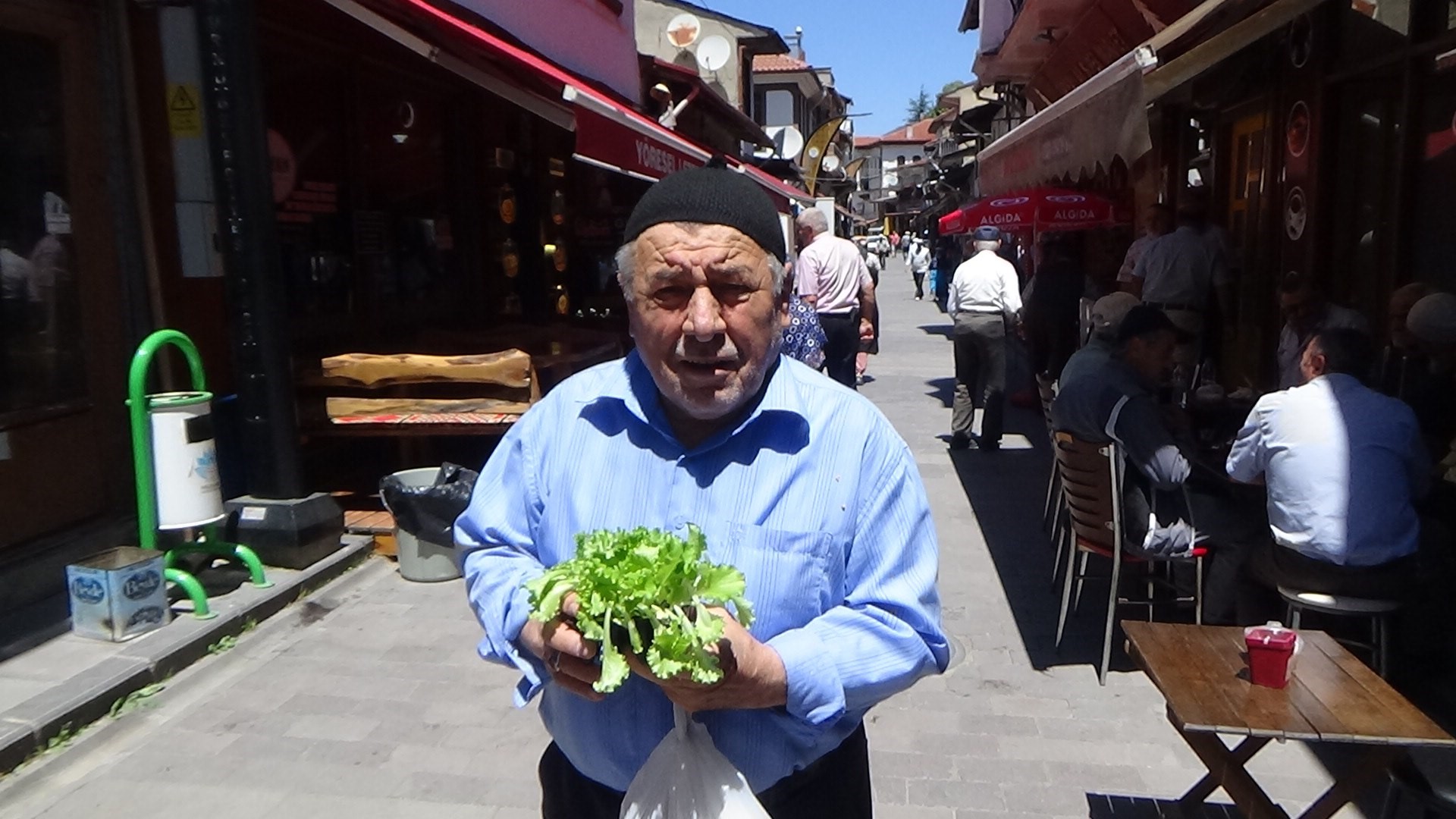 Çiftçilere 10 Bin Marul Fidesi Dağıtıldı (6)