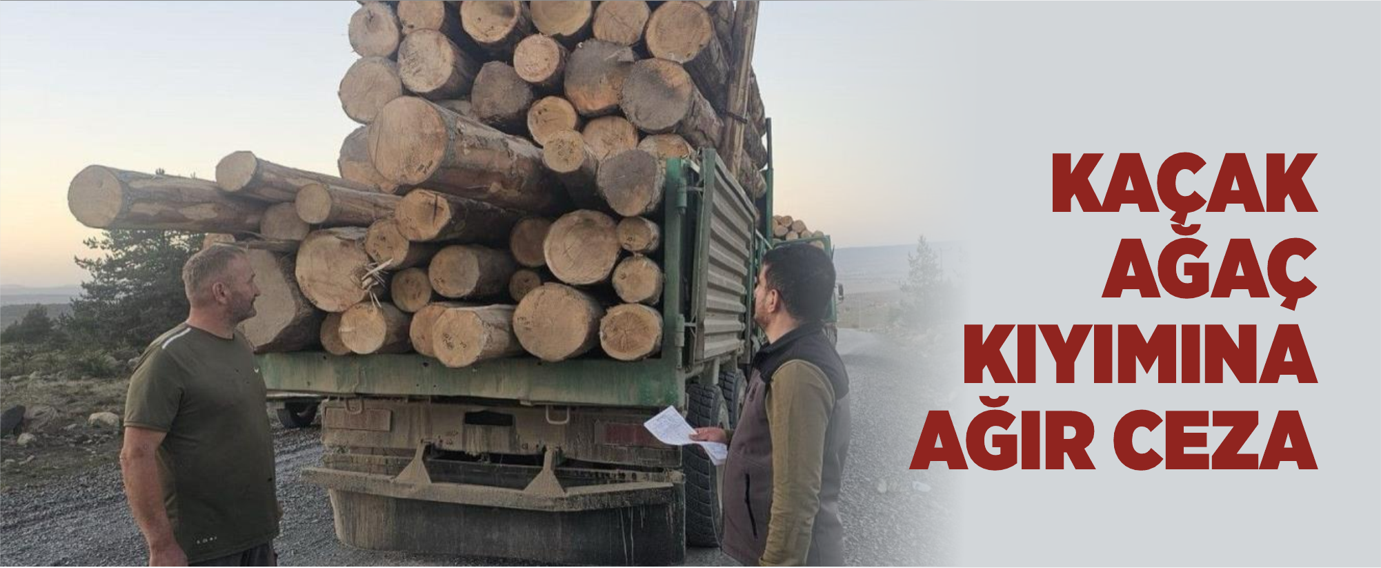 Kaçak ağaç kıyımına ağır ceza