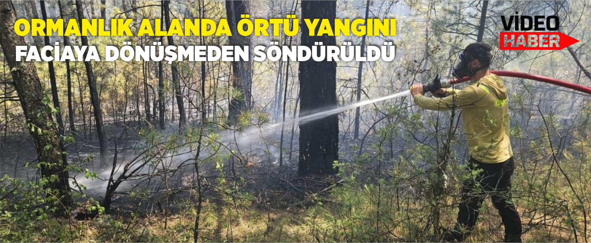 Ormanlık alanda örtü yangını faciaya dönüşmeden söndürüldü