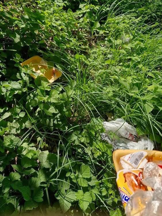 Sünnet Gölü’nde Doğaya Saygısızlık Tepki Topladı (4)