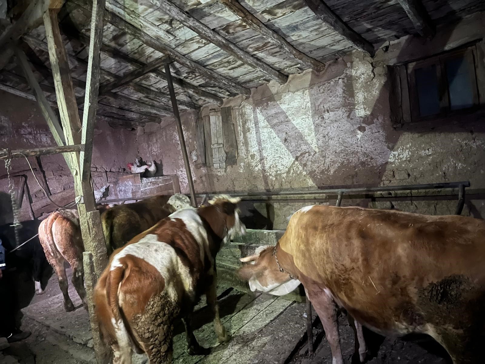 Yaşlı Kadının 2 Katlı Evi Küle Döndü (6)