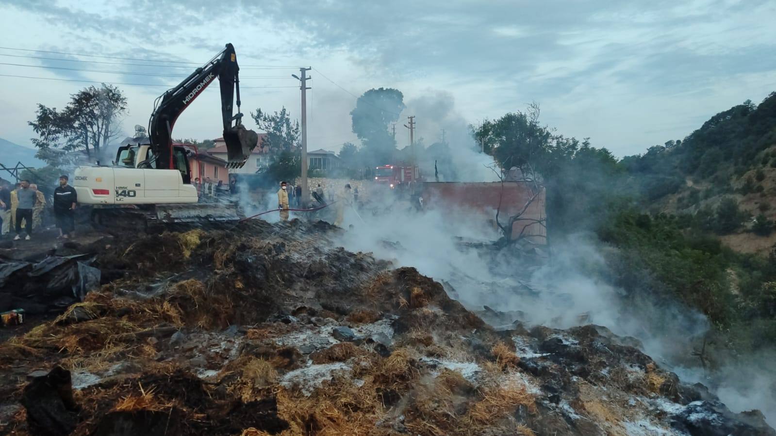 519406537 122216914928160162 3061614924082677184 N