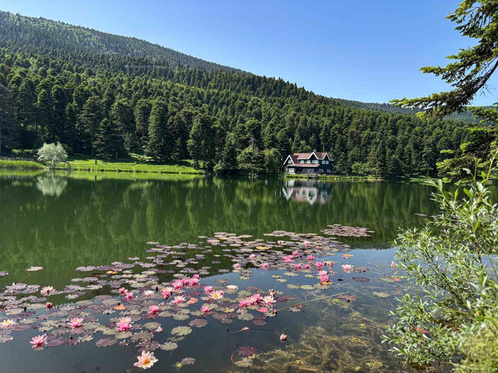 Bolu’da ‘Ateşli Piknik’ Tamamen Yasaklandı (2)