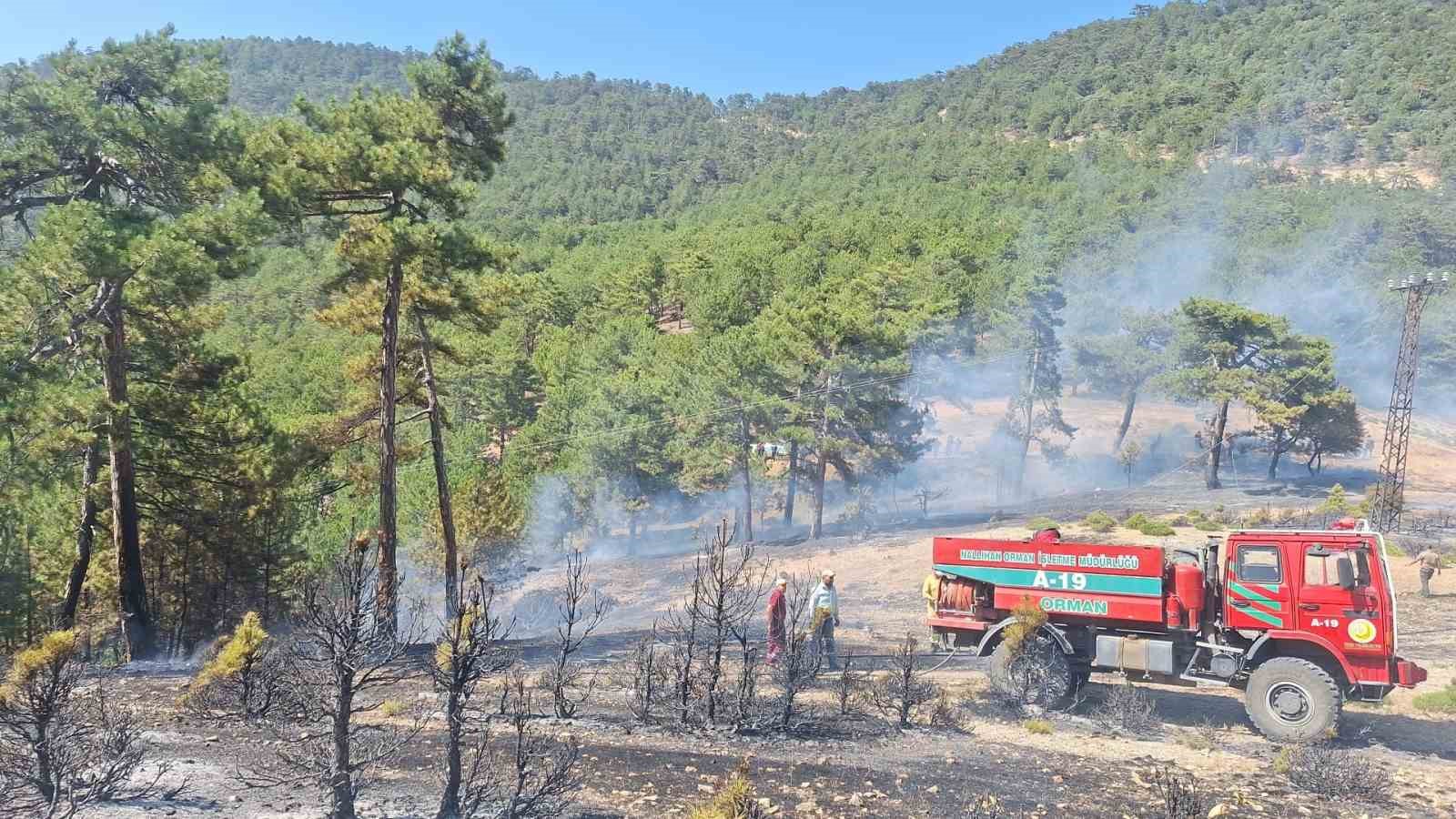 Bolu’da Çıkan Orman Yangını Büyümeden Söndürüldü (2)