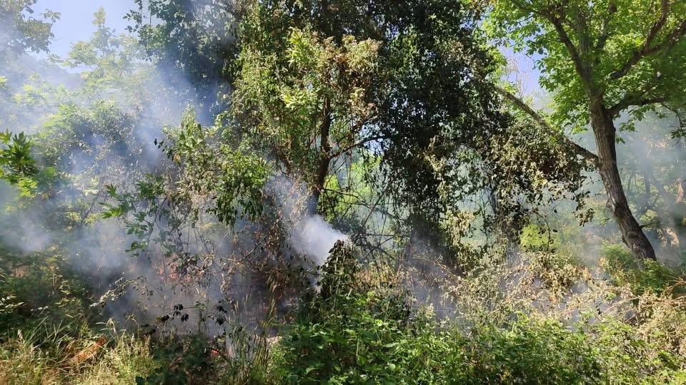 Mudurnu’da Çalılık Alanda Yangın Ekipler Zamanında Müdahale Etti (1)