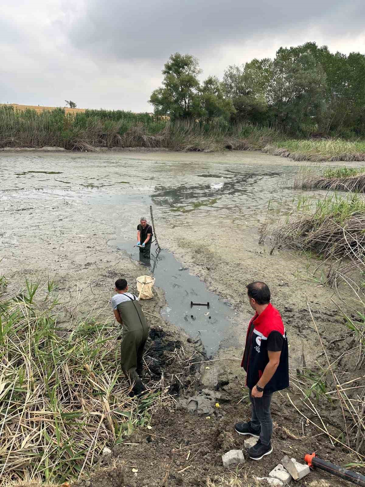 Bolu’da, Kuruyan Gölette Mahsur Kalan Balıklar Kurtarıldı (2)