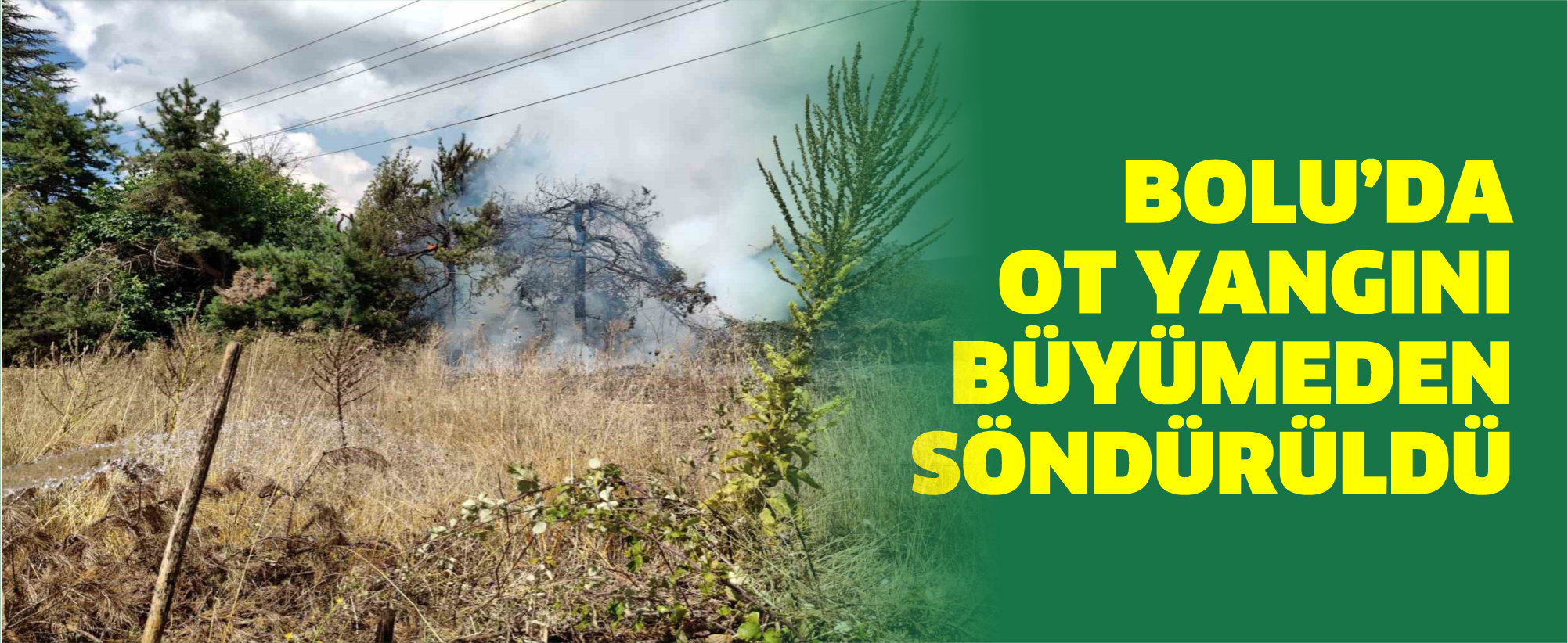 Bolu’da ot yangını büyümeden söndürüldü
