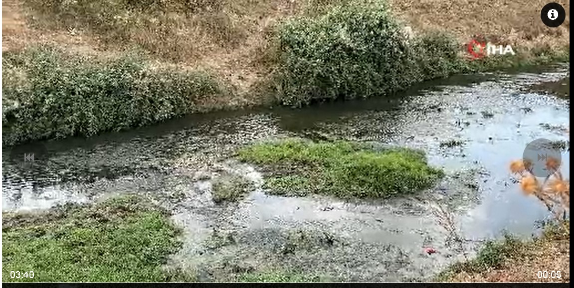 Erpiliç’in Pisliği, Hamile Kadını Hastanelik Etti (4)