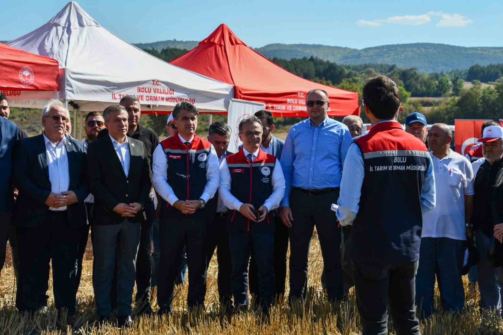 Bolu’da 23 Bin 500 Dekarda Ayçiçek Hasadı Başladı (2)