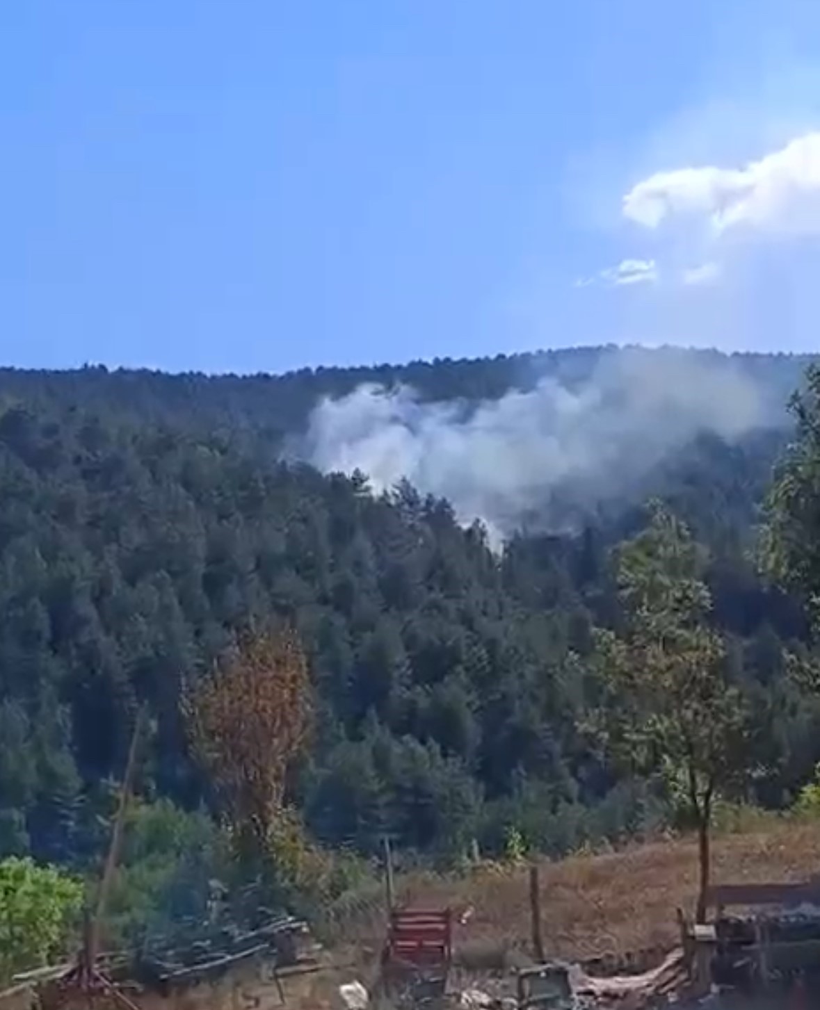 Bolu’da Çıkan Orman Yangını Kısa Sürede Söndürüldü (1)