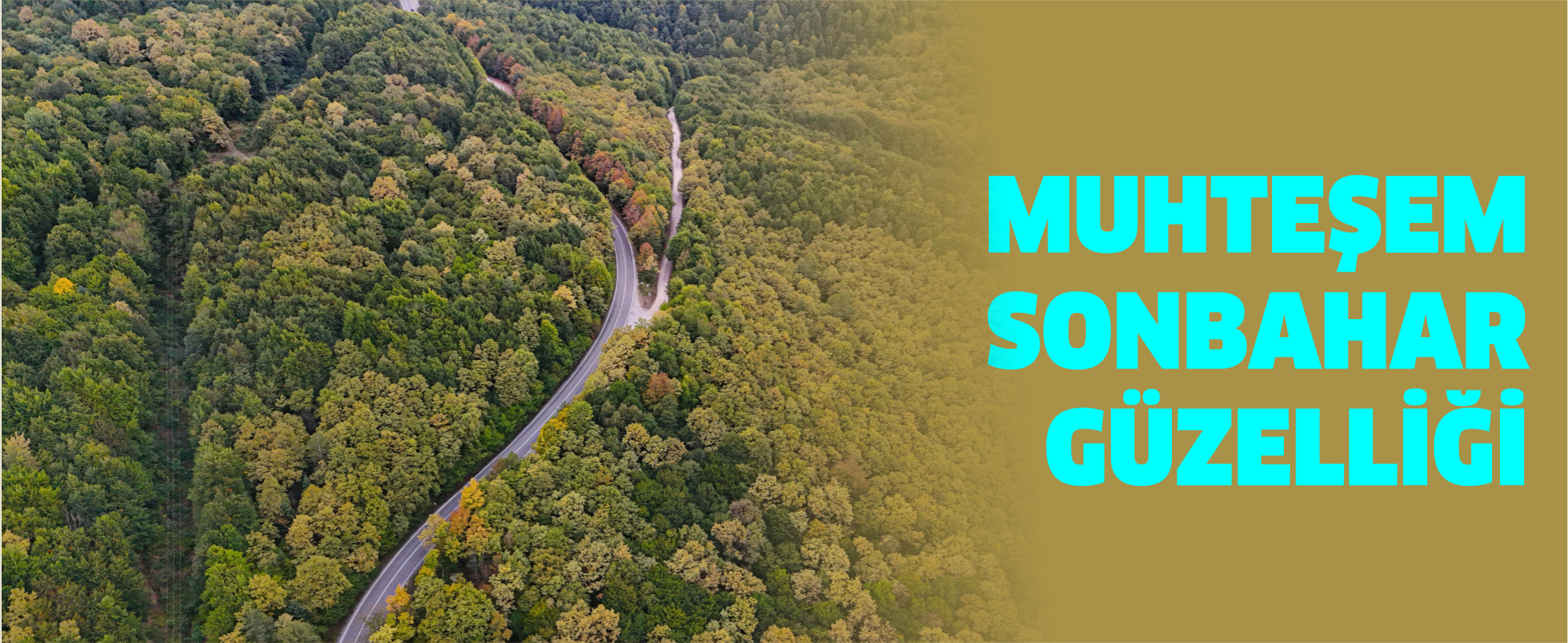 Bolu-Seben yolunda muhteşem sonbahar güzelliği