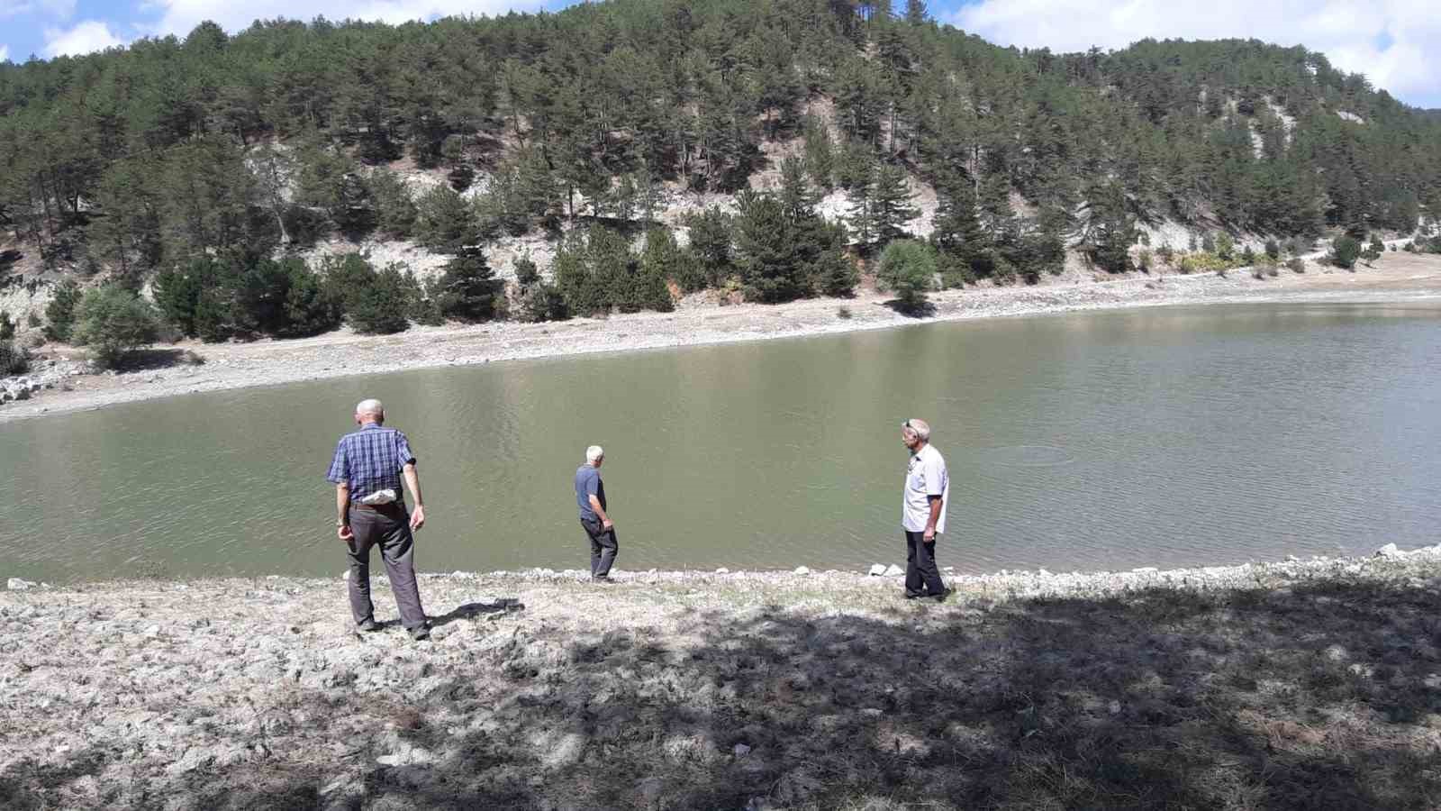 Orman Yangınında Kritik Rol Oynayan Gölet, Can Çekişiyor (1)