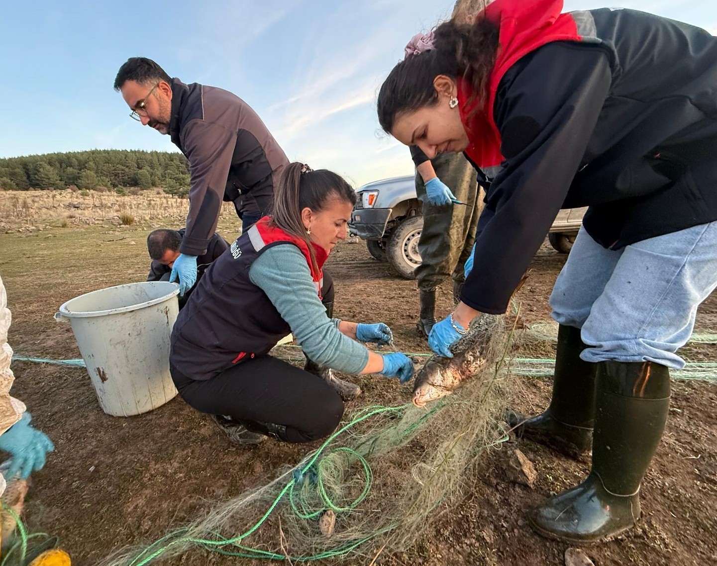 Bolu’da 5 Kilometrelik Hayalet Ağ Toplandı 500 Balık Canlı Kurtarıldı (1)