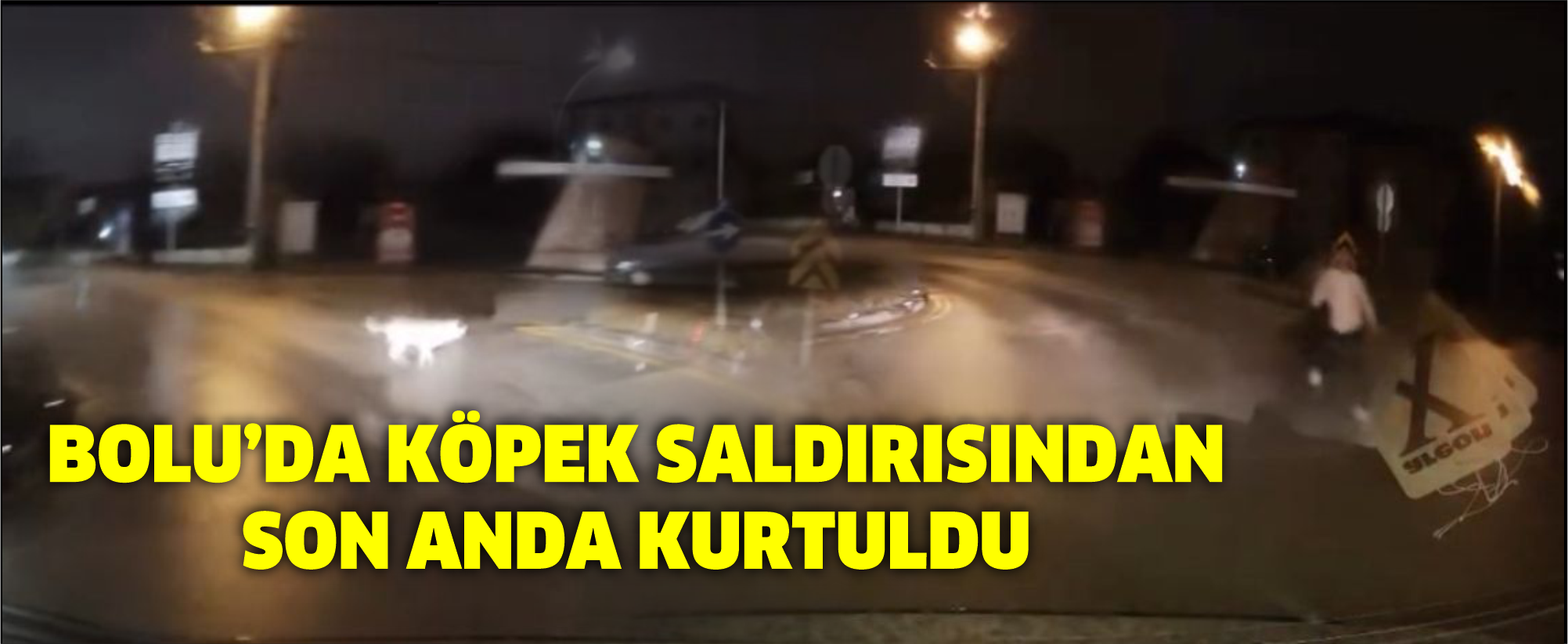 Bolu’da Köpek Saldırısından Son Anda Kurtuldu