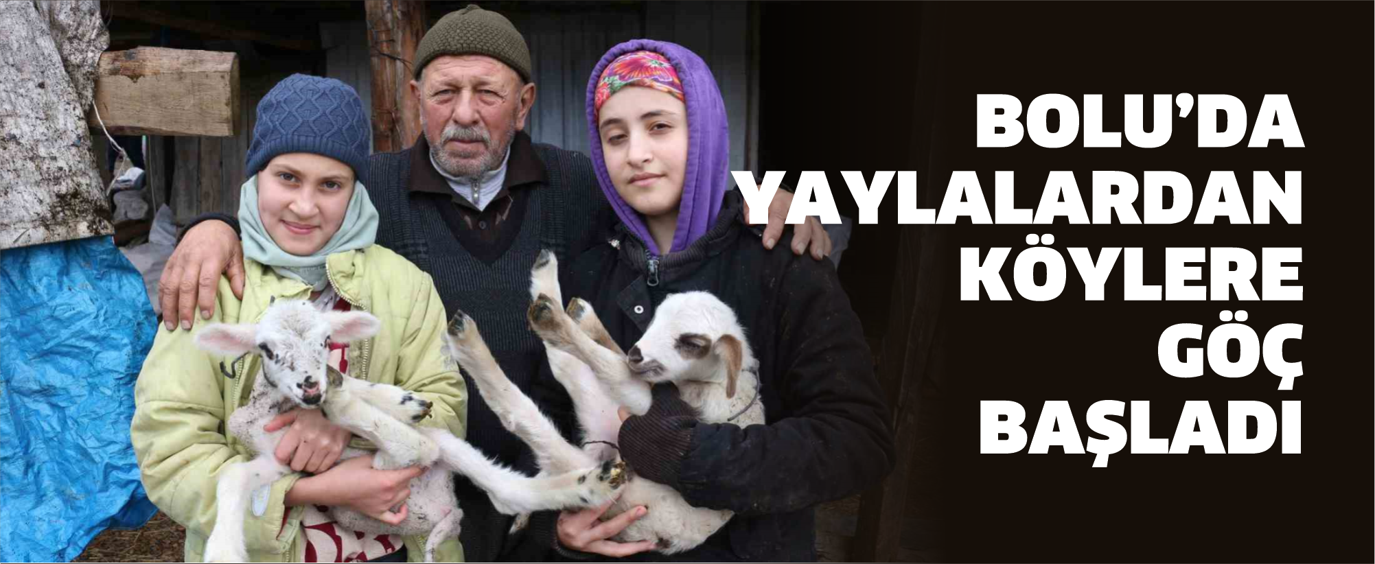 Bolu’da yaylalardan köylere göç başladı