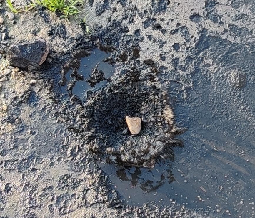 Gerede’de Fabrikaların Zehrini Kustuğu Derenin Yeniden Davası Görülecek (2)