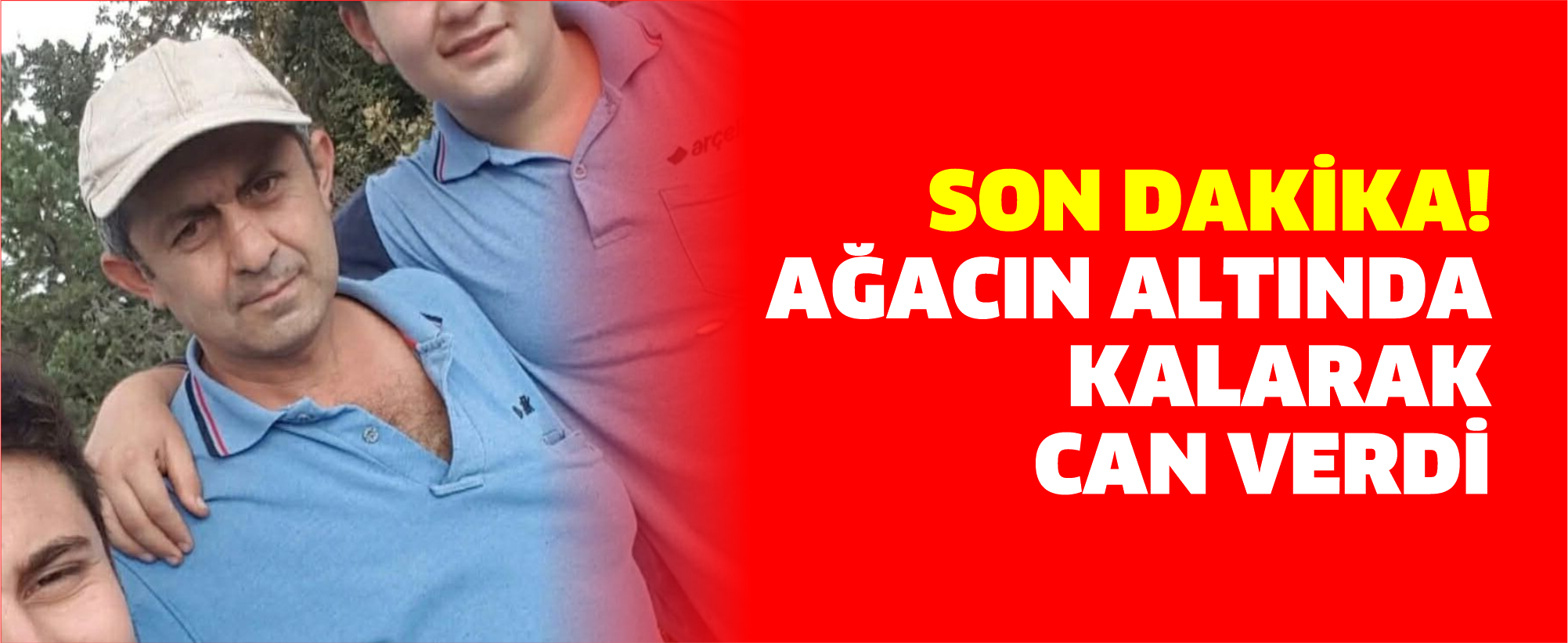 Bolu’da Ağaç Kesimi Sırasında Feci Kaza: Bir Kişi Hayatını Kaybetti