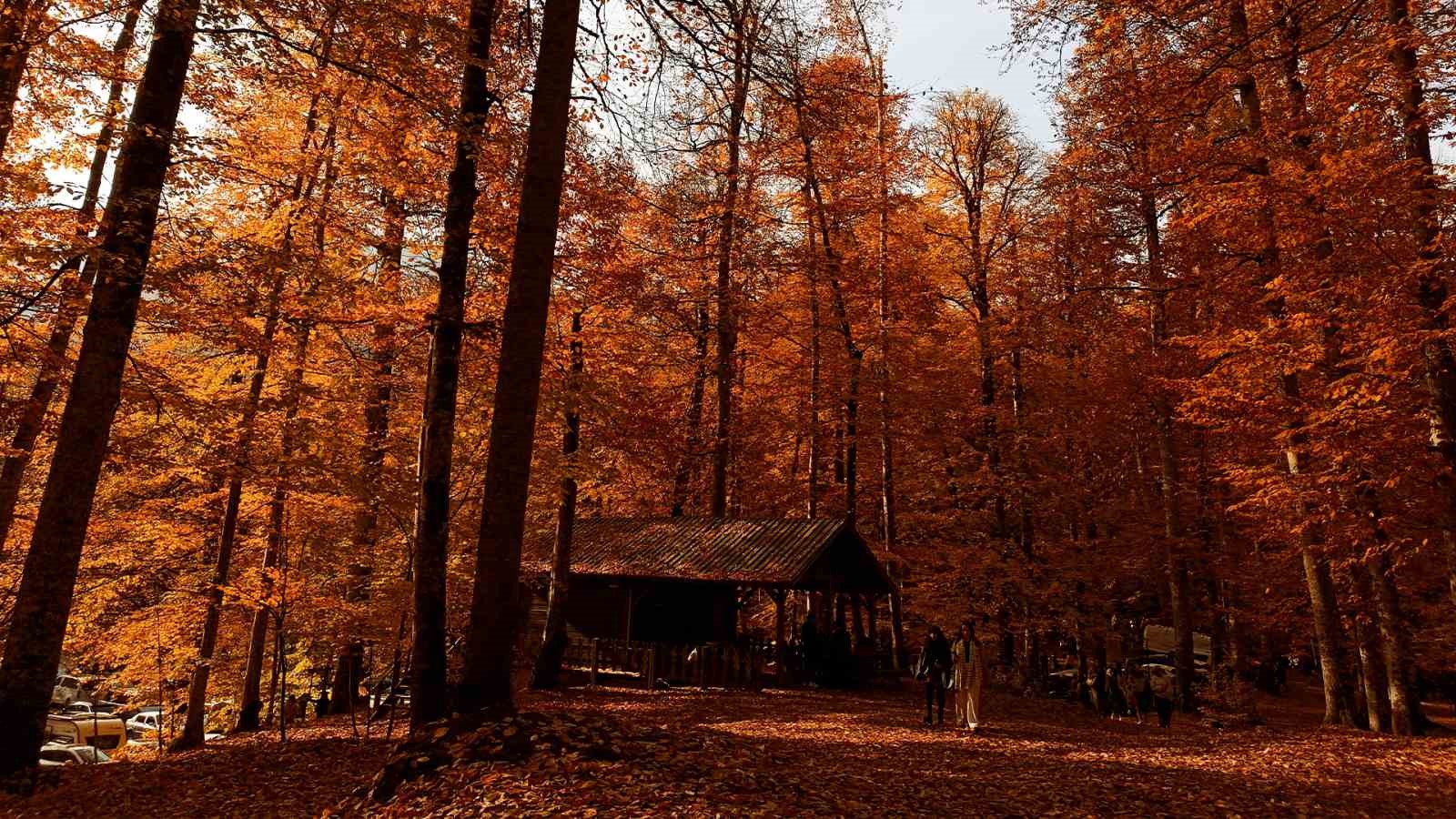 Yedigöller Milli Parkı Ziyaretçi Akınına Uğradı (1)