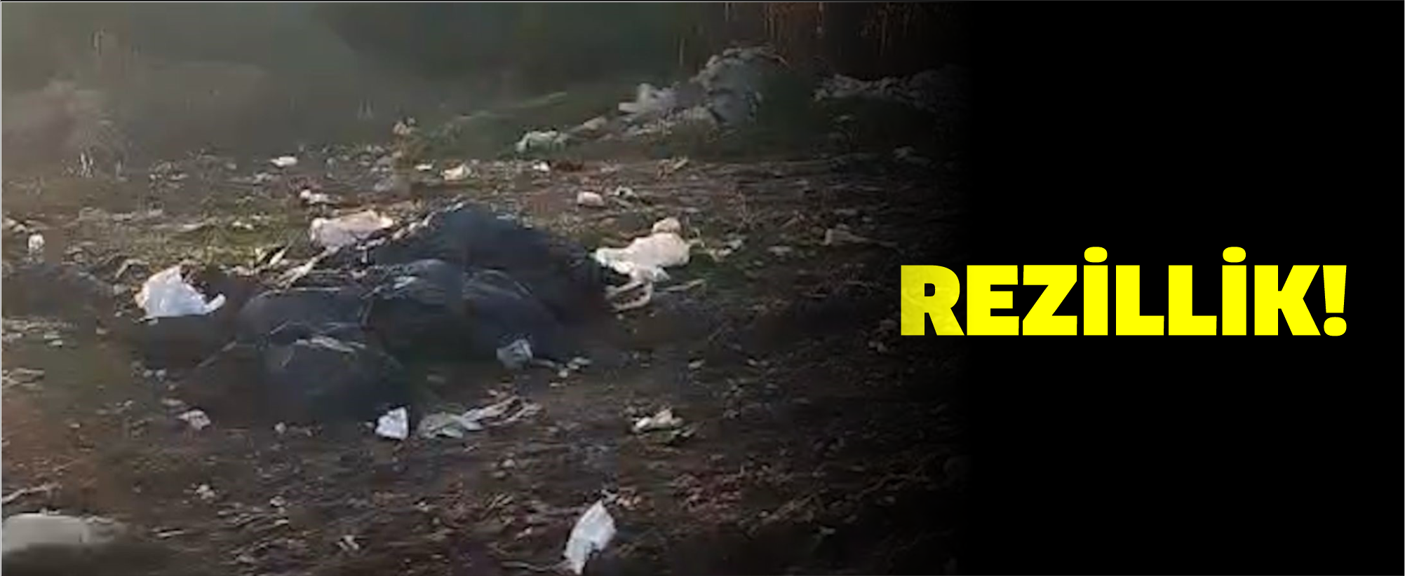 Ormanlık alanı çöplüğe çevirdiler