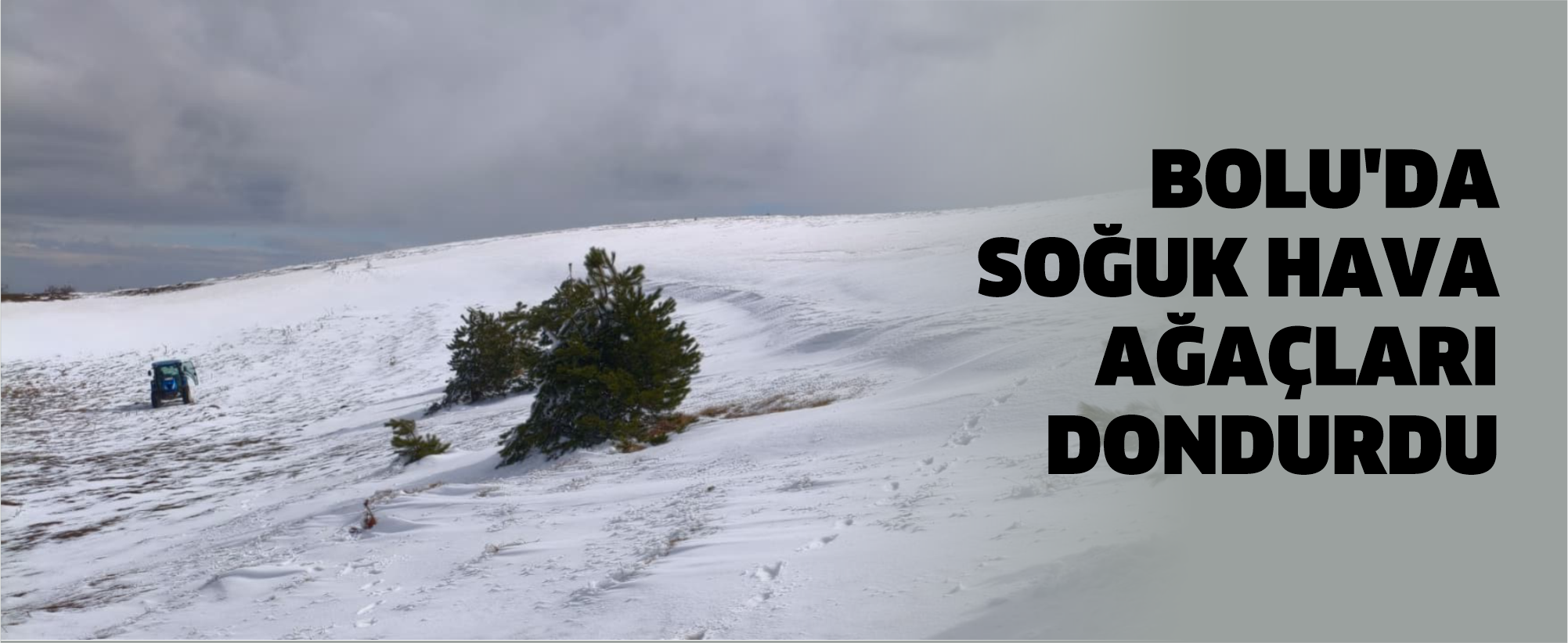 Bolu'da soğuk hava ağaçları dondurdu