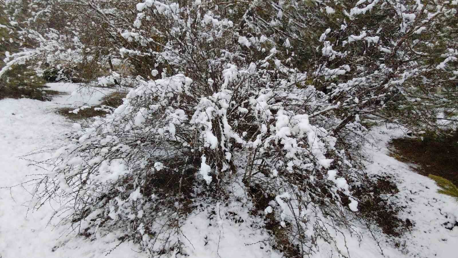 Bolu Martta Yağan Karla Beyaza Büründü (2)