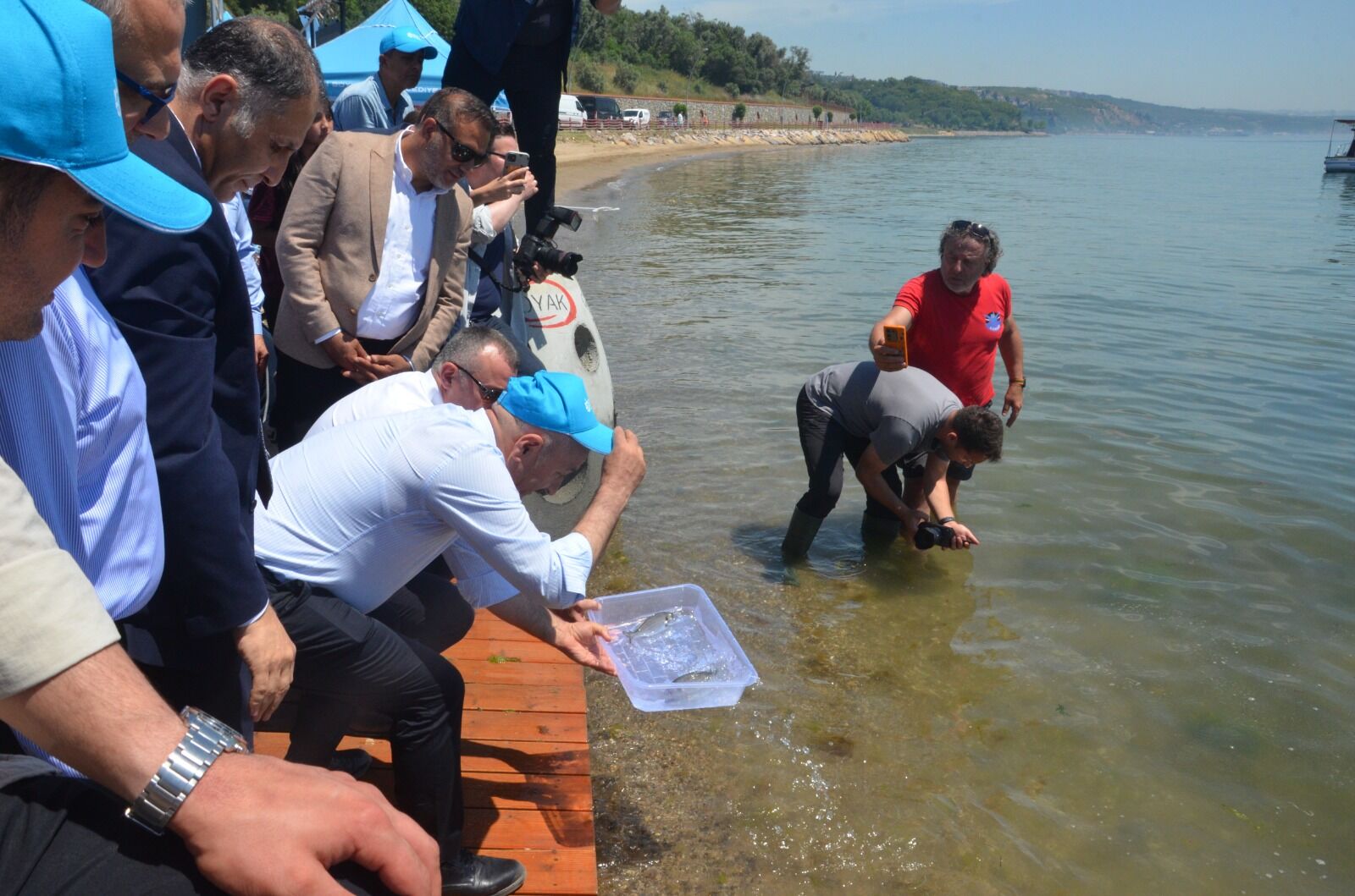 “Yaşamın İzinde Deniz Yuvaları Projesi” Darıca Sahili’nde Büyüyor (2)