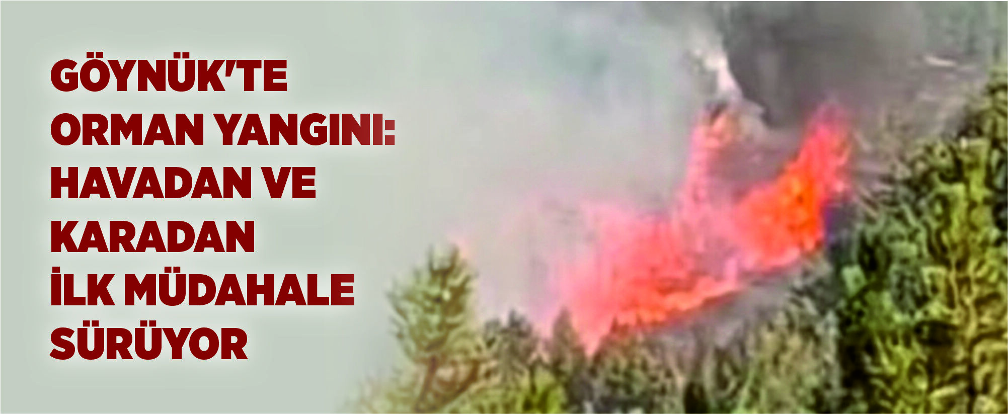 Göynük'te Orman Yangını