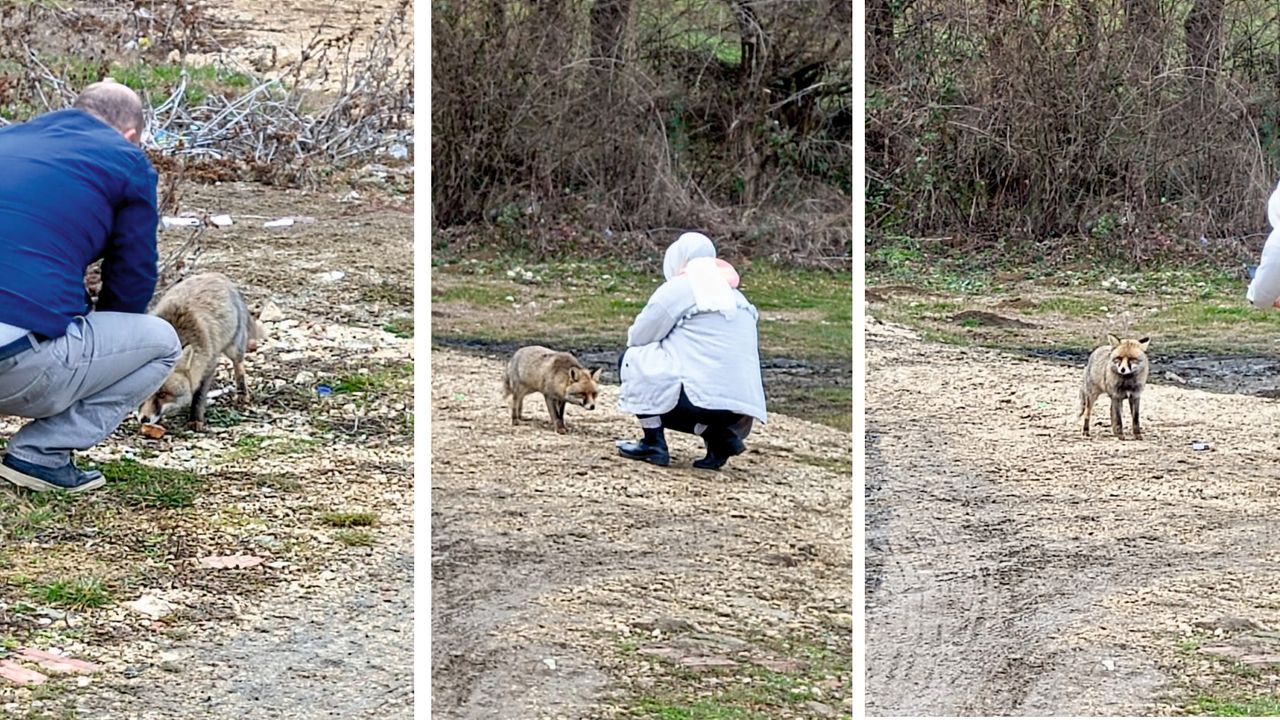 Belediye Personelinden Örnek Davranış