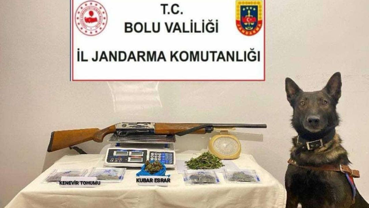 Bolu’da uyuşturucu operasyonu: 1 tutuklama