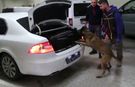 Bolu'da kaçakçılık operasyonunda 4 gözaltı