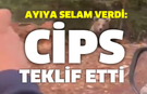 AYIYA SELAM VERDİ: CİPS TEKLİF ETTİ