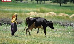 Bolu Ovası koruma alanı sınırı değişti