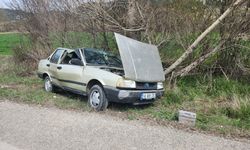 Nallıhan yolunda ağaca çarptı