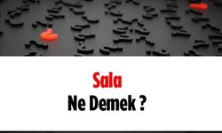 Sala ne demektir?